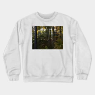 Dark forest Crewneck Sweatshirt